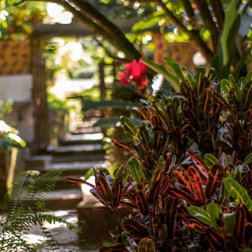 Готель Mi Refugio Tayrona Санта-Марта Екстер'єр фото