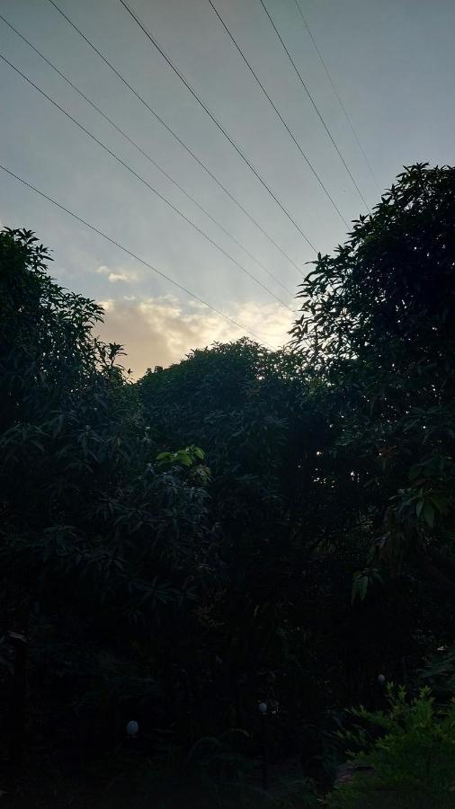 Готель Mi Refugio Tayrona Санта-Марта Екстер'єр фото