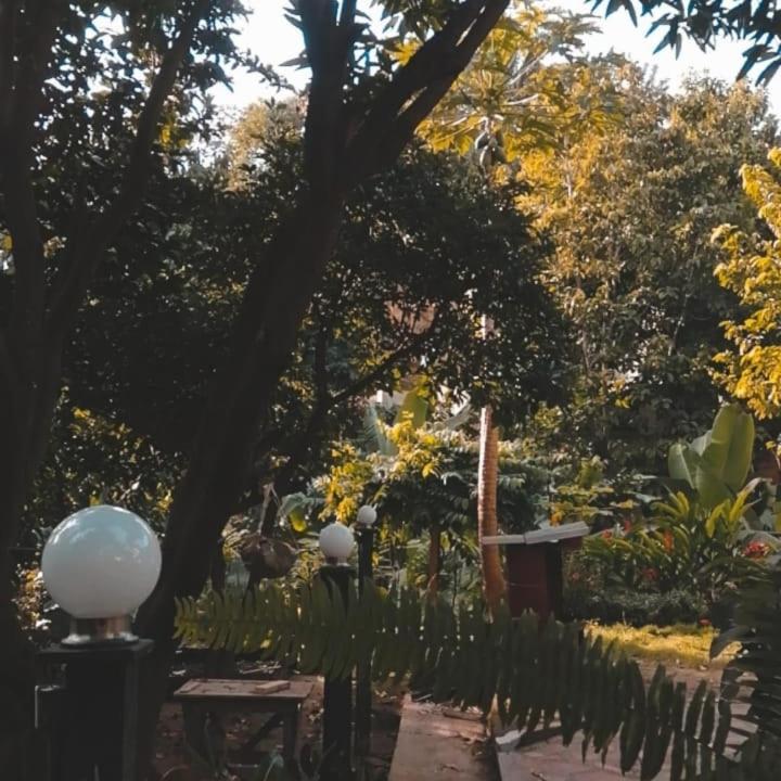 Готель Mi Refugio Tayrona Санта-Марта Екстер'єр фото